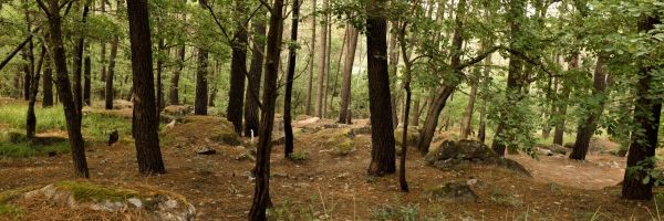 Camping en pleine nature en Ardèche