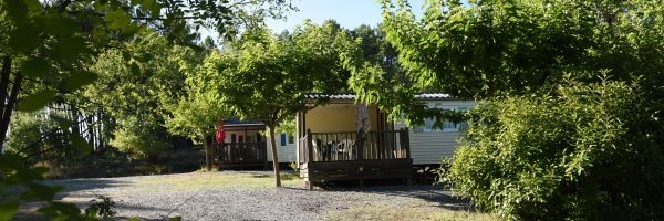 Végétation luxuriante au camping le Saut du Loup à Rosière en Ardèche